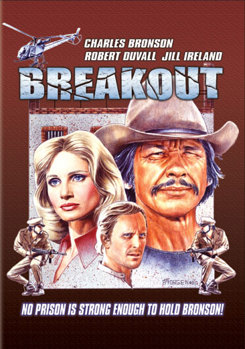 DVD Breakout Book
