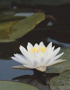 Paperback Notebook Large Size 8.5 x 11 Ruled 150 Pages Book