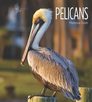 Pelicans - Book  of the Living Wild