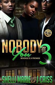 Paperback Nobody But You 3: Revenge Is A Promise Book