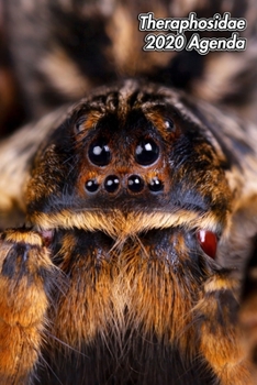 Theraphosidae 2020 Agenda: Tarentule | 139 Pages | 12 Mois | Format A5 | Agenda | Journalier | Planificateur | Semainier Simple | Calendrier | Organizer (French Edition)