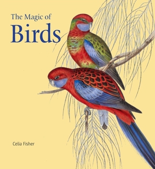 Hardcover The Magic of Birds Book