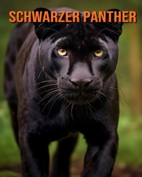 Schwarzer Panther: Ein erstaunliches Tierbilderbuch für Kinder