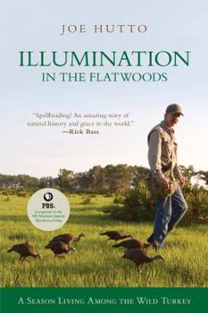 Paperback Illumination in the Flatwoods: A Season with the Wild Turkey Book