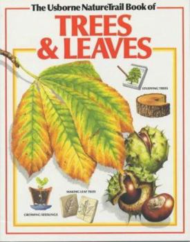 Paperback Trees & Leaves (Usborne Nature Trail) Book