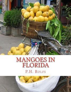 Paperback Mangoes in Florida Book