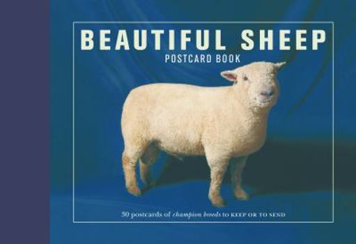 Card Book Beautiful Sheep Postcard Book: 30 Postcards of Champion Breeds to Keep or to Send Book