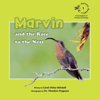 Paperback Marvin and the Race to the Nest Book