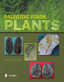 Paperback Paleozoic Fossil Plants Book
