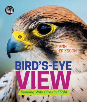 Hardcover Bird's-Eye View: Keeping Wild Birds in Flight Book