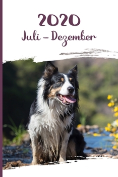 Kalender 2020: Border Collie Hunde Tageskalender 2. Halbjahr Juli Dezember ca DIN A5 weiß über 190 Seiten (German Edition)