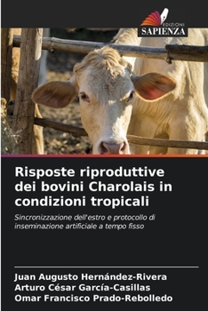 Risposte riproduttive dei bovini Charolais in condizioni tropicali (Italian Edition)