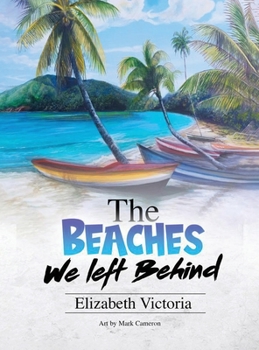 Hardcover The Beaches We Left Behind Book