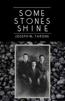 Paperback Some Stones Shine Book