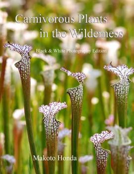Paperback Carnivorous Plants in the Wilderness: Black & White Photography Edition Book