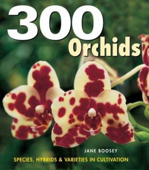 Hardcover 300 Orchids: Species, Hybrids & Varieties in Cultivation Book