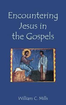 Paperback Encountering Jesus in the Gospels Book