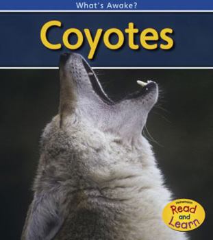Paperback Coyotes (What's Awake?) Book
