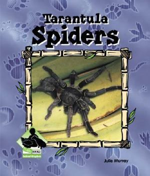 Tarantula Spiders - Book  of the Buddy Books