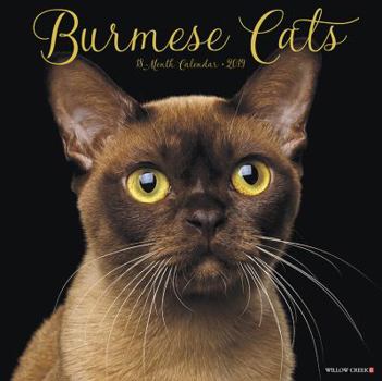 Calendar Burmese Cats 2019 Wall Calendar Book