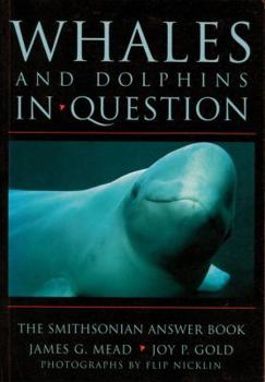 Paperback Whales and Dolphins in Question: Whales and Dolphins in Question Book