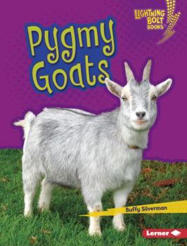 Pygmy Goats - Book  of the Little Pets