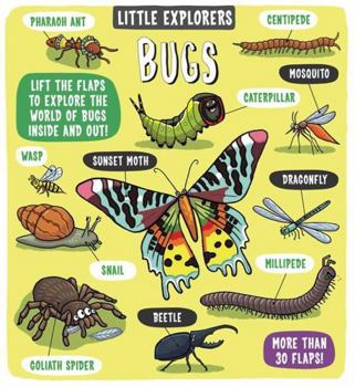 Hardcover Little Explorers Bugs Book