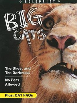 Paperback Steck-Vaughn Boldprint Anthologies: Individual Student Edition Orange Big Cats Book