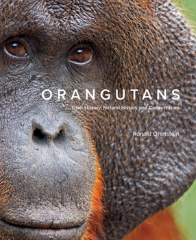 Hardcover Orangutans: Their History, Natural History and Conservation Book