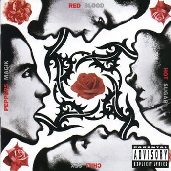 Vinyl Blood Sugar Sex Magik Book