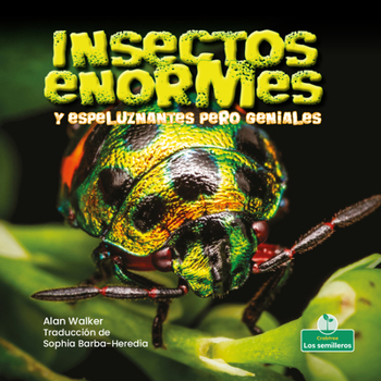 Paperback Insectos Enormes Y Espeluznantes Pero Geniales (Creepy But Cool Beastly Bugs) [Spanish] Book