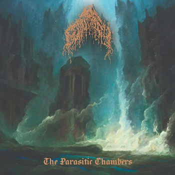 Vinyl The Parasitic Chambers Book