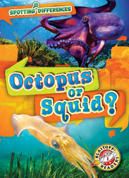Octopus or Squid? - Book  of the Scholastic: Blastoff! Spotting Differences
