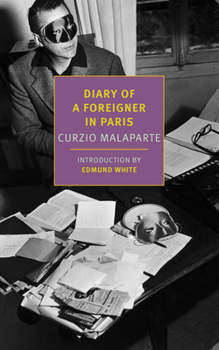 Paperback Diary of a Foreigner in Paris Book