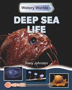 Library Binding Deep Sea Life Book
