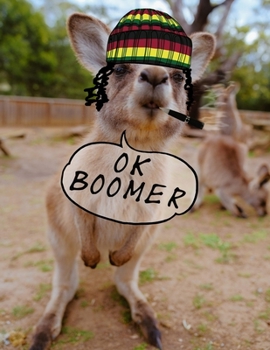 OK Boomer : Blank Meme Notebook/Sketchbook