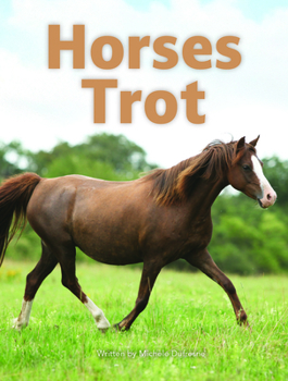Horses Trot