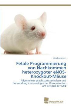 Paperback Fetale Programmierung von Nachkommen heterozygoter eNOS-Knockout-Mäuse [German] Book