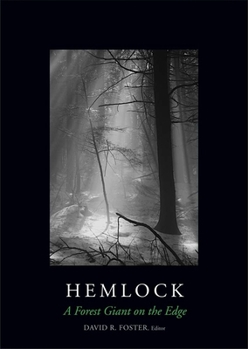 Hardcover Hemlock: A Forest Giant on the Edge Book