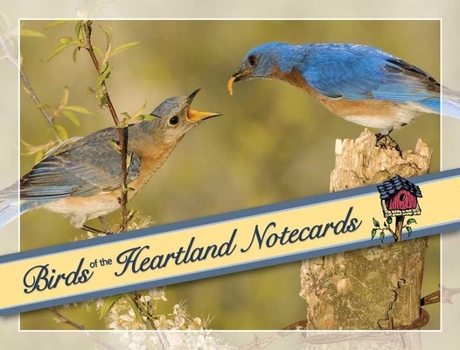 Loose Leaf Birds of the Heartland Notecards [With 12 Envelopes] Book