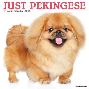 Calendar Just Pekingese 2022 Wall Calendar (Dog Breed) Book