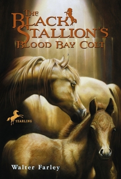Paperback The Black Stallion's Blood Bay Colt: (Reissue) Book