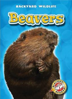 Beavers - Book  of the Backyard Wildlife