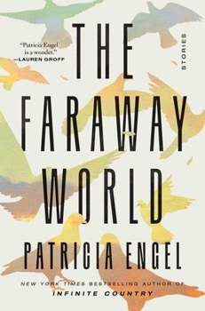 Hardcover The Faraway World: Stories Book