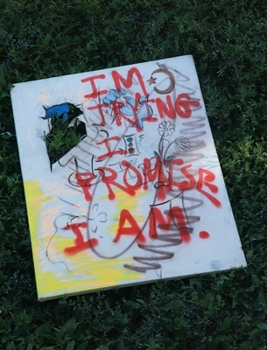 Hardcover I'm Trying I promise Book