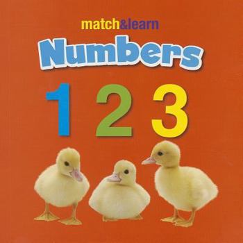 Board book Numbers Book