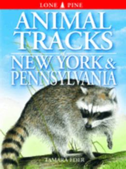 Paperback Animal Tracks of New York & Pennsylvania Book