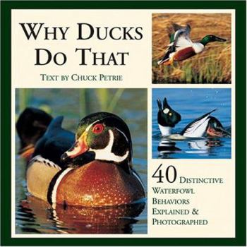 Hardcover Why Ducks Do That: 40 Destinctive Duck Behaviors Explained & Photographed Book