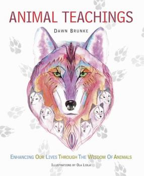 Paperback Animal Teachings: Enhancing our lives through the wisdom of animals Book