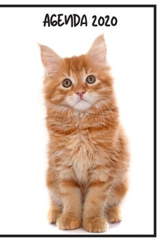Agenda 2020: Hebdomadaire 1 Semaine par page Format A5 | Janvier 2020 à Décembre 2020 | Planificateur Organiseur Semainier avec Calendrier et Carnet ... Pour les Amoureux des Chats (French Edition)